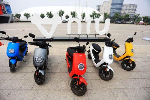 小牛踏足印度市場(chǎng) 中國電動(dòng)車全球征戰(zhàn)再下一城