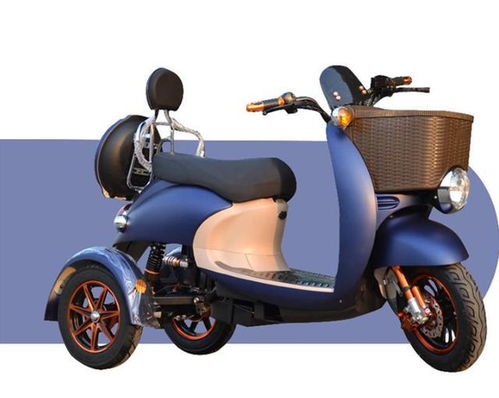 電動車租賃系統開發,幫助租賃市場健康發展