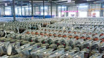 第8萬輛下線!你家的愛瑪電動(dòng)車可能是銅梁產(chǎn)