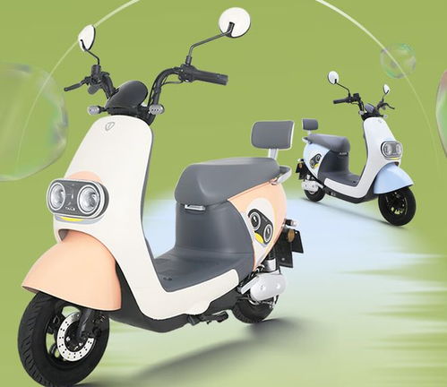 3款全新電動車,造型漂亮,騎行舒適,續航80公里,適合通勤代步