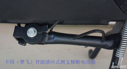 綠能電動車實現多元化升級，重磅來襲引領行業新浪潮